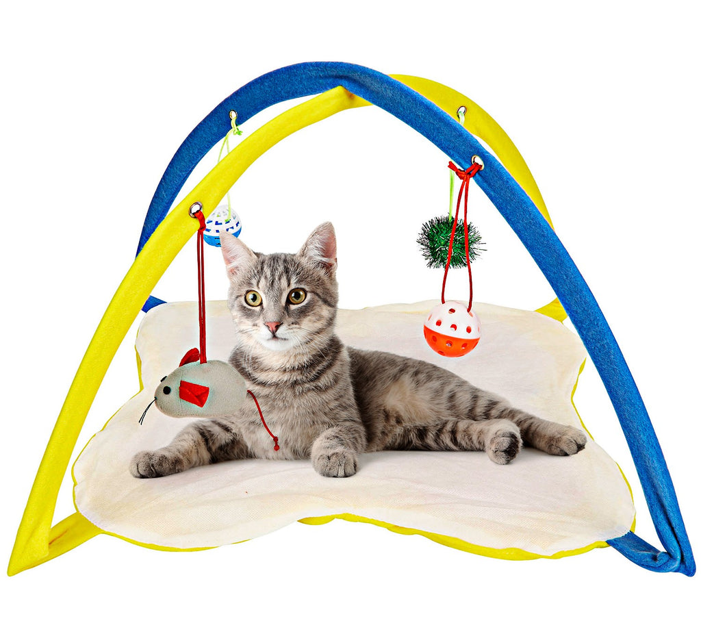 Animals Favorite Cat Play Mat, Cat Tent Activity Center with Hanging Toys